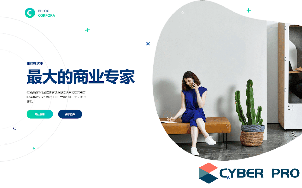 企業諮詢公司官網案例演示